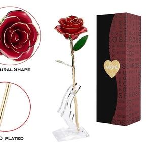 24k Gold Trimmed Long Stem Everlasting Real Rose